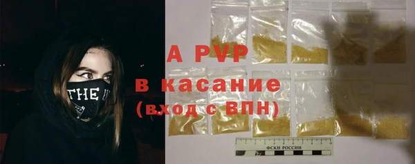сатива Гусь-Хрустальный