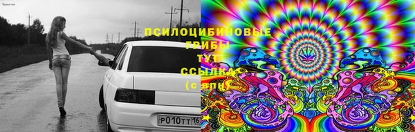 мяу мяу мука Алексин