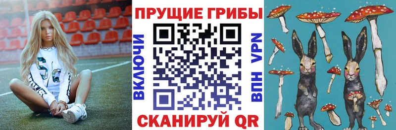 Псилоцибиновые грибы MAGIC MUSHROOMS Чердынь